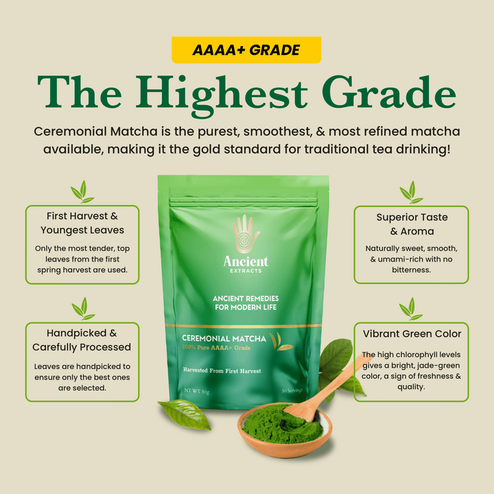 Ancient Extracts - Ceremonial Pair - Matcha & Hojicha