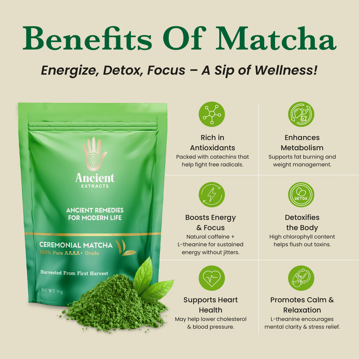 Ancient Extracts - Ceremonial Pair - Matcha & Hojicha