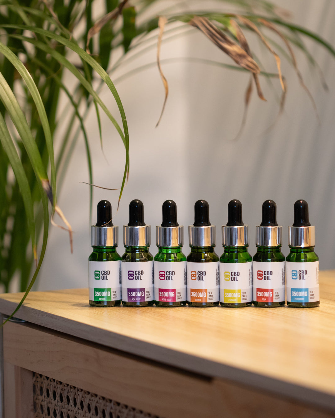 CBD Asylum Açai Berry CBD Oil - BUY 1 GET 1 FREE