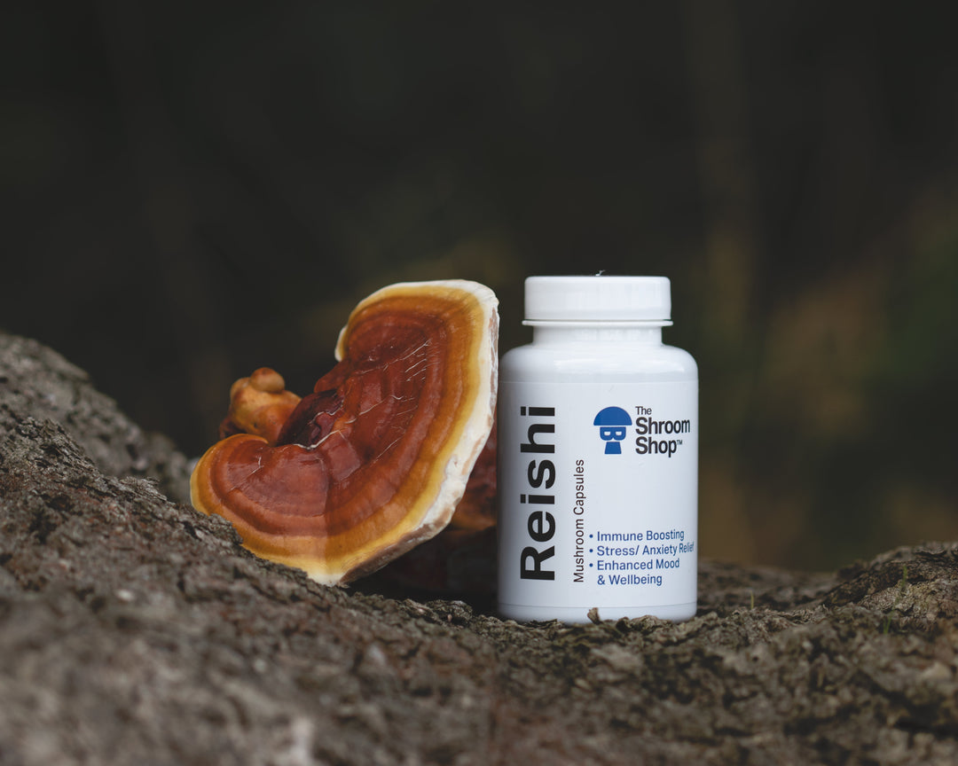 The Shroom Shop -  Reishi Mushroom Capsules -  - BUY 1 GET 1 FREE