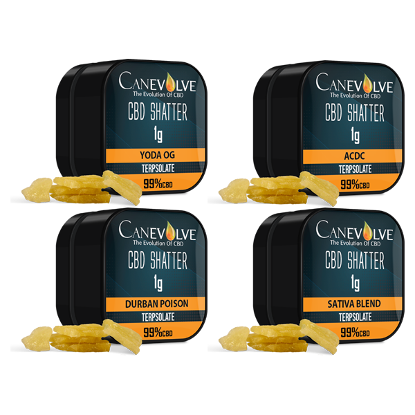 Canevolve 99% CBD Shatter - 1g - Flavour: Mimosa