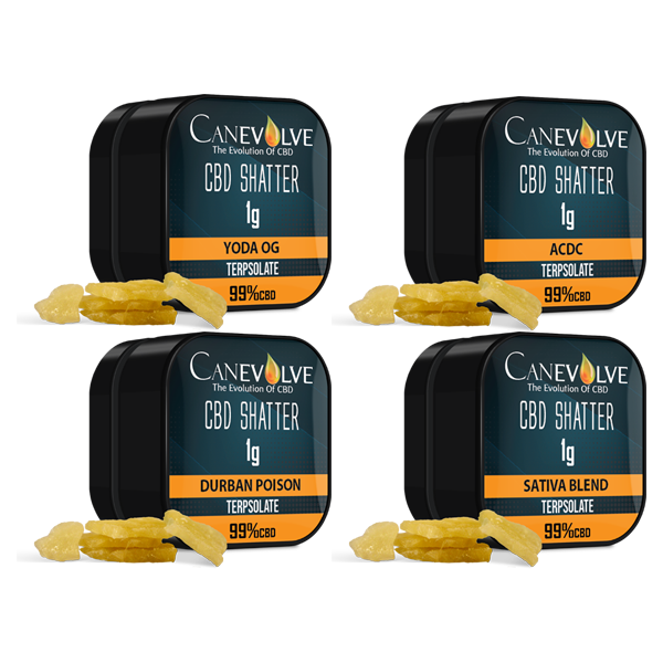 Canevolve 99% CBD Shatter - 1g - Flavour: Blue Cheese
