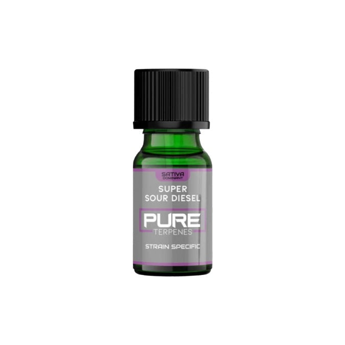 UK Flavour Pure Terpenes Sativa - 2.5ml - Flavour: Pineapple Express