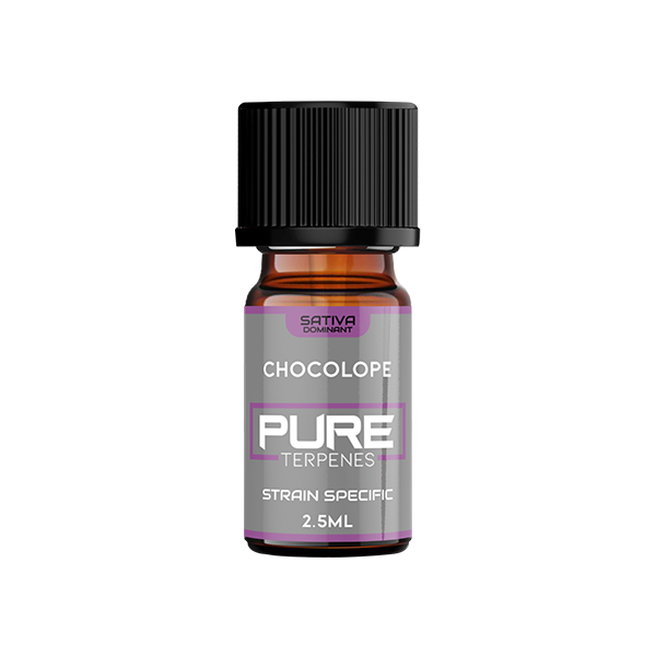 UK Flavour Pure Terpenes Sativa - 2.5ml - Flavour: Pineapple Express