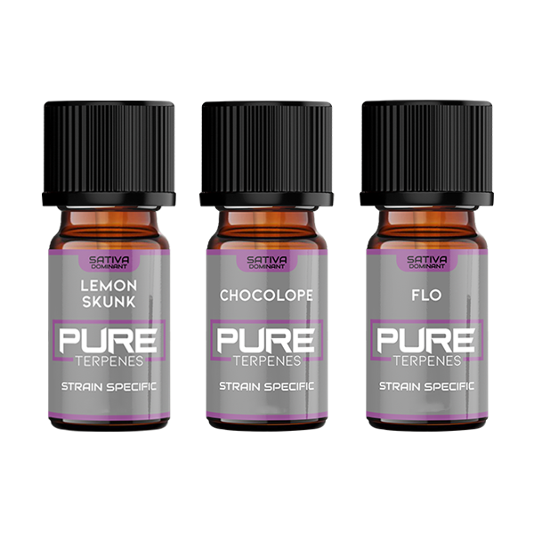 UK Flavour Pure Terpenes Sativa - 5ml - Flavour: Flo