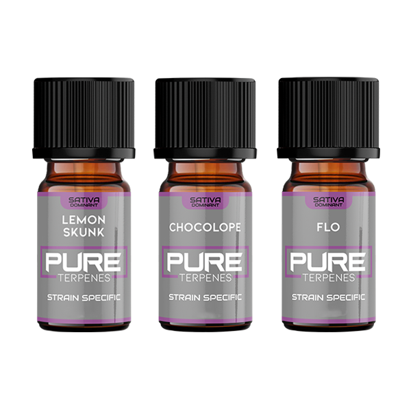 UK Flavour Pure Terpenes Sativa - 5ml - Flavour: Pineapple Express