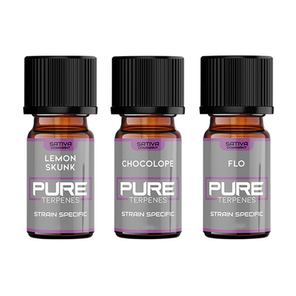UK Flavour Pure Terpenes Sativa - 5ml - Flavour: Pineapple Express