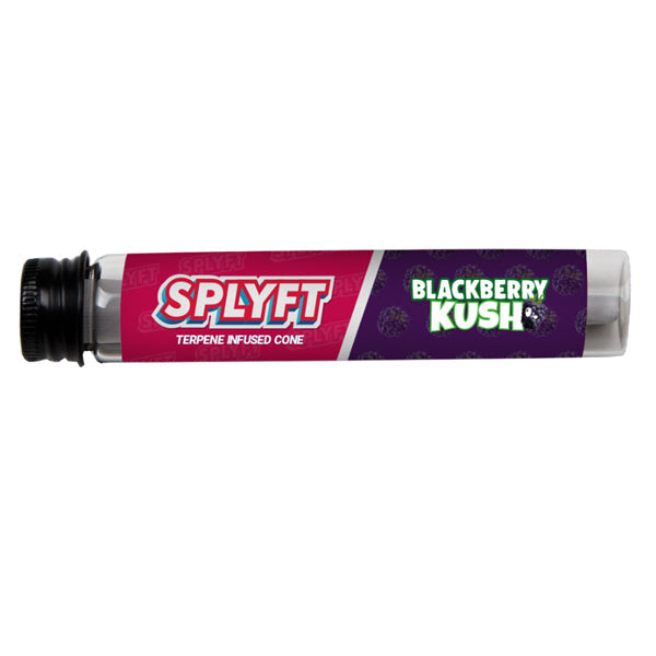 SPLYFT Cannabis Terpene Infused Rolling Cones – Blackberry Kush - Amount: x15 (Display Box)