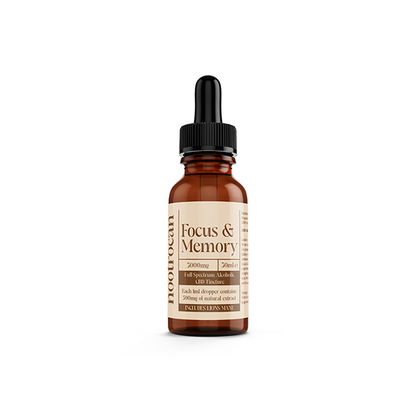 Nootrocan 3000mg 10% Full-Spectrum CBD Nootropic Tincture - 30ml - Flavour: Relax & Unwind