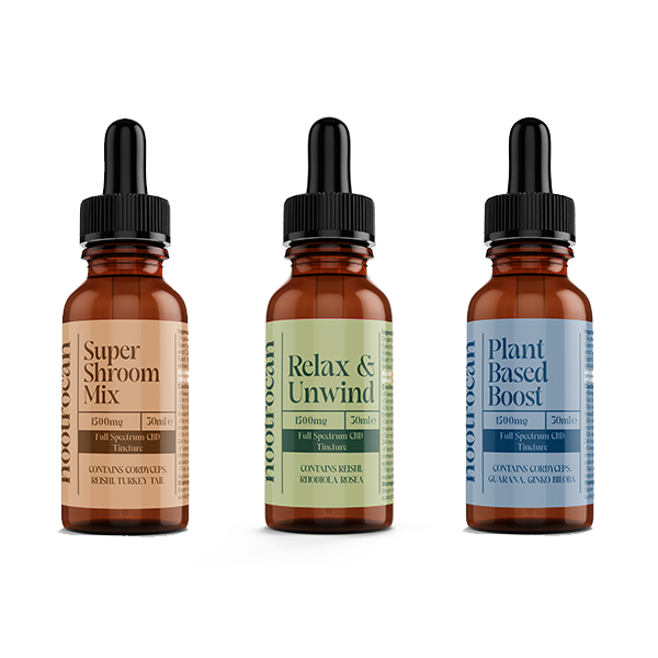 Nootrocan 1500mg 5% Full-Spectrum CBD Nootropic Tincture - 30ml - Flavour: Relax & Unwind
