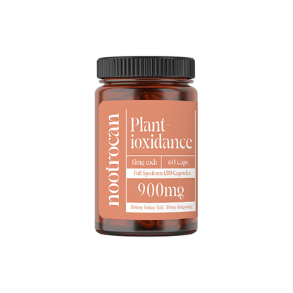 Nootrocan 900mg Full Spectrum CBD Nootropic Capsules - 60 Caps - Flavour: Focus & Memory