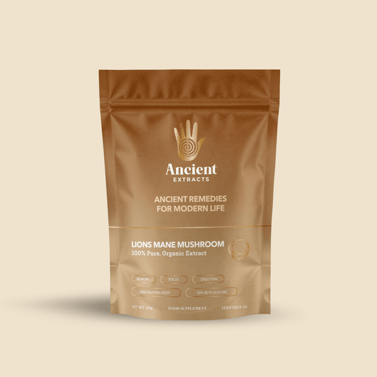 Ancient Extracts - Lion's Mane Mushroom Extract Powder