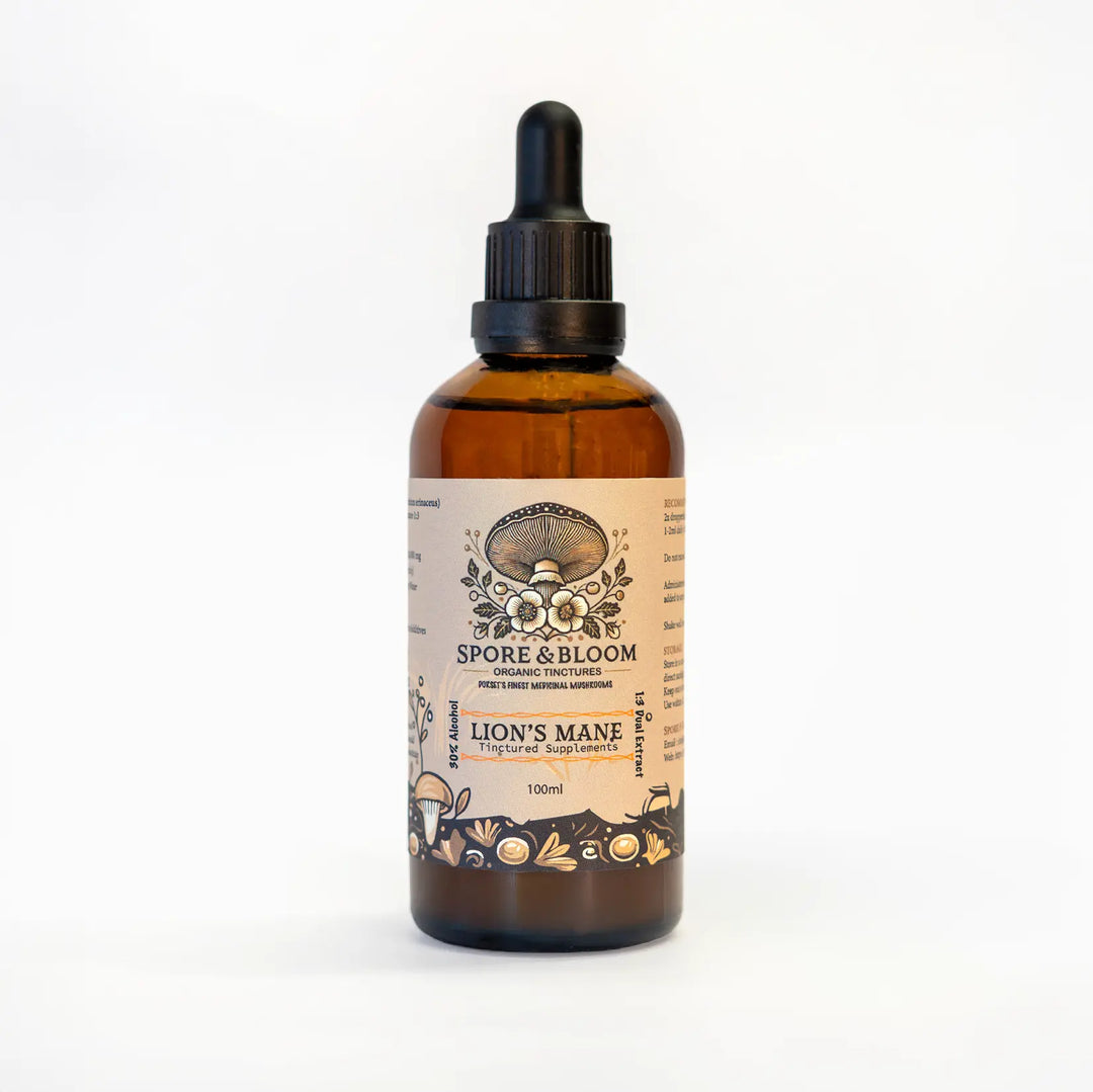 Spore & Bloom - Calm & Focus Stack – Lion’s Mane & Reishi