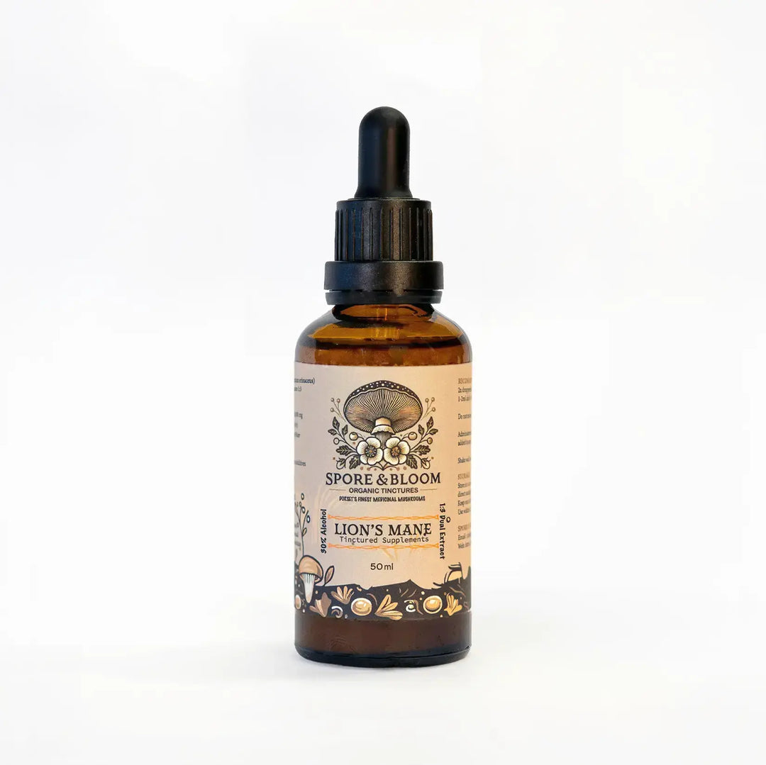 Spore & Bloom - Lion’s Mane Extract – Focus & Clarity