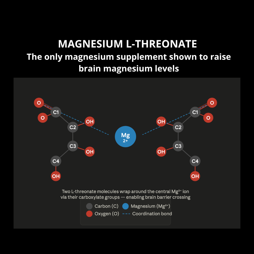 Magnesium L Threonate Capsules