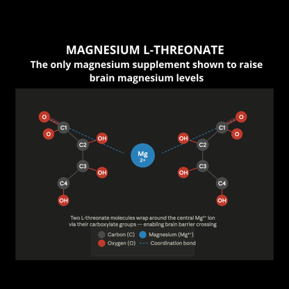 Magnesium L Threonate Capsules
