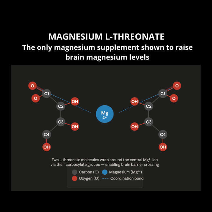 Magnesium L Threonate Capsules