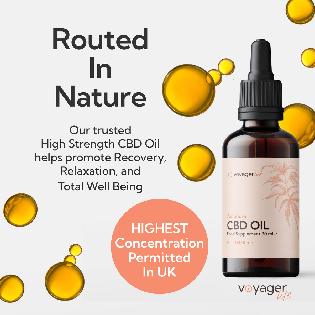 Voyager Life CBD Mend Oil 6000mg with Terpenes