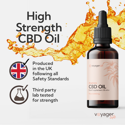 Voyager Life CBD Mend Oil 6000mg with Terpenes