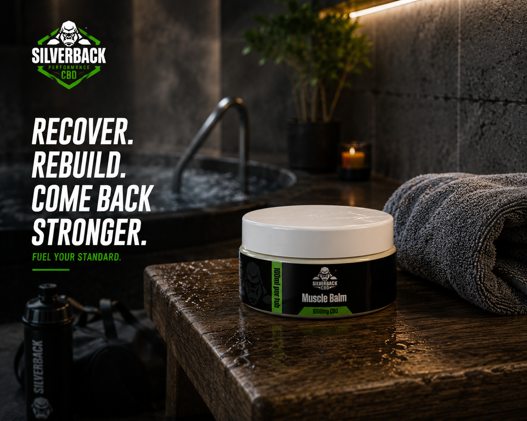 SILVERBACK CBD 1000MG CBD MUSCLE BALM