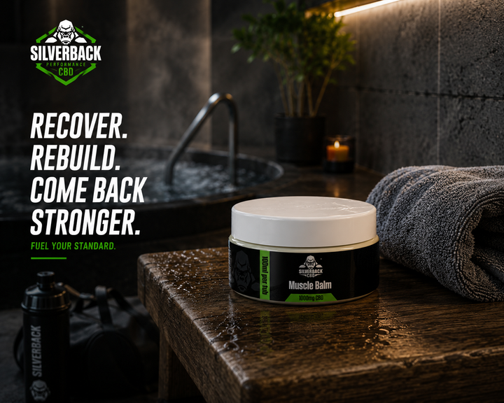SILVERBACK CBD 1000MG CBD MUSCLE BALM