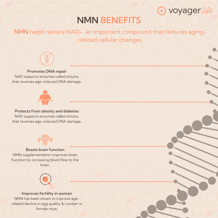 NMN Supplement Powder 100g