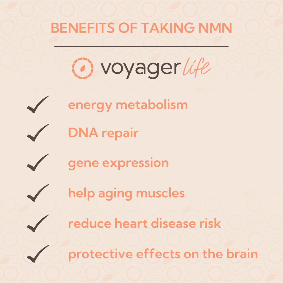 NMN Supplement Powder 100g