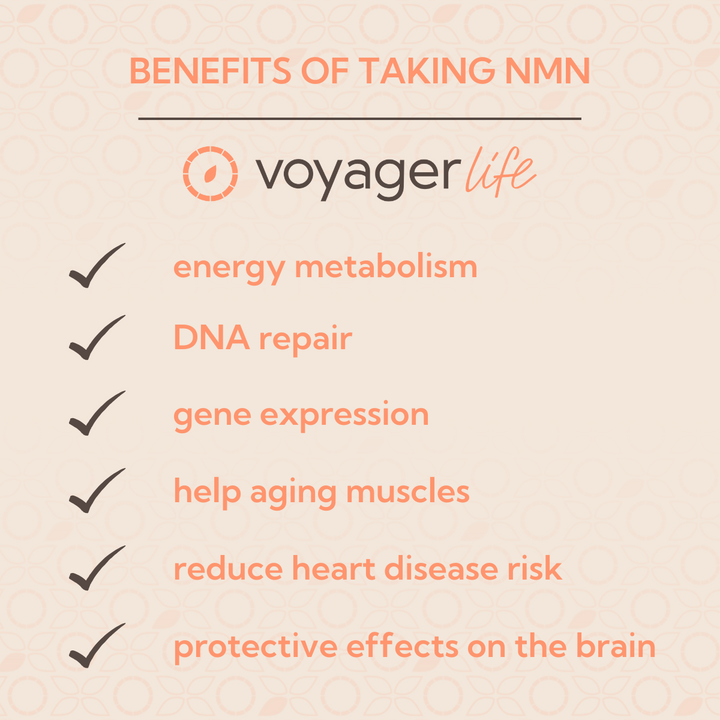 NMN Nicotinamide Mononucleotide 500mg Delayed Release 60 Capsules