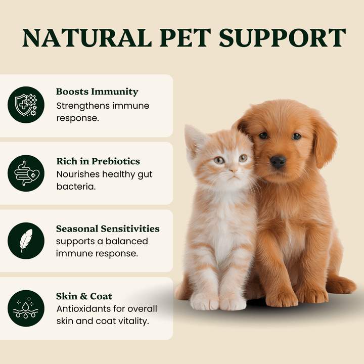 Ancient Extracts - Mushroom Blend - For Pets