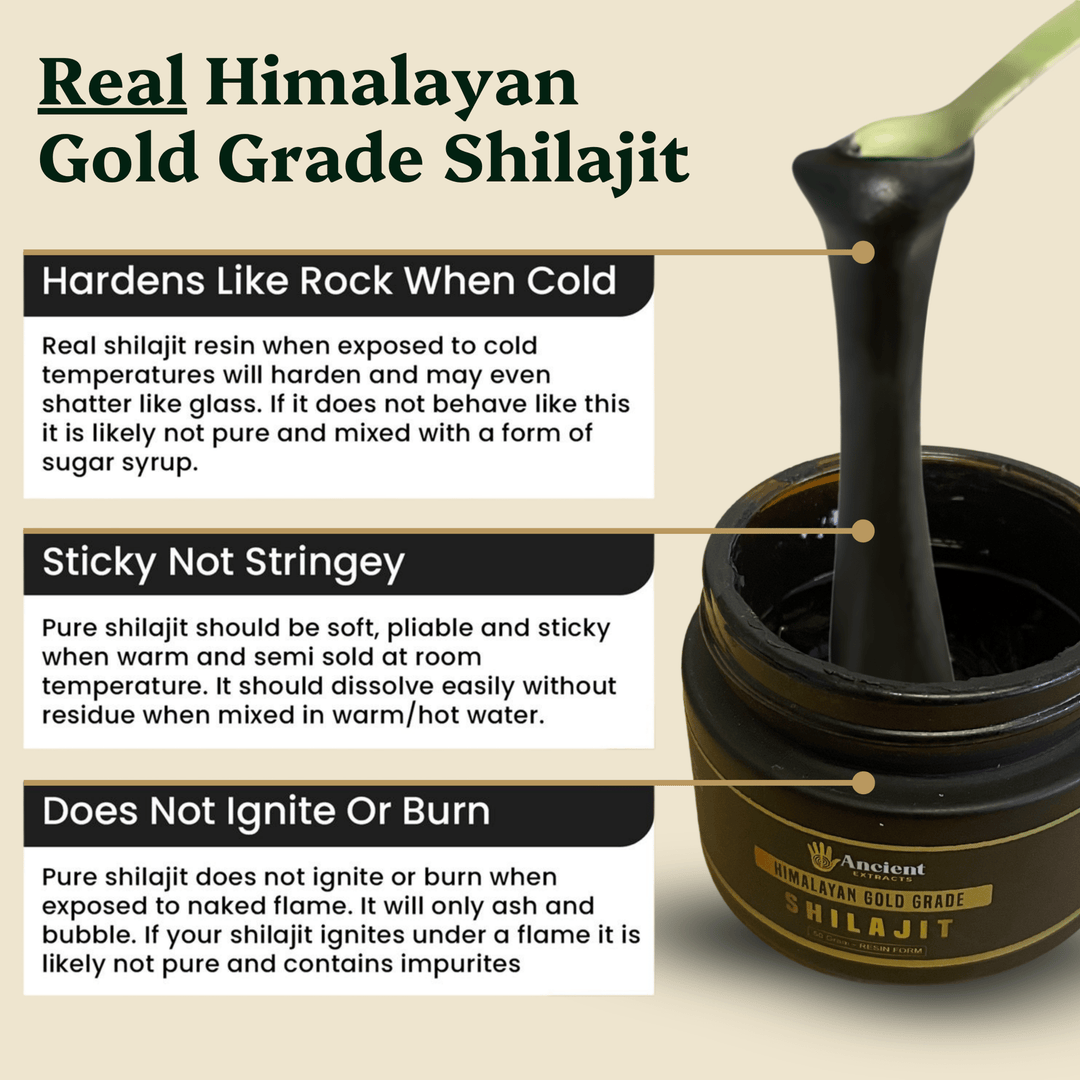 Ancient Extracts - Shilajit Resin - Himalayan Gold Grade