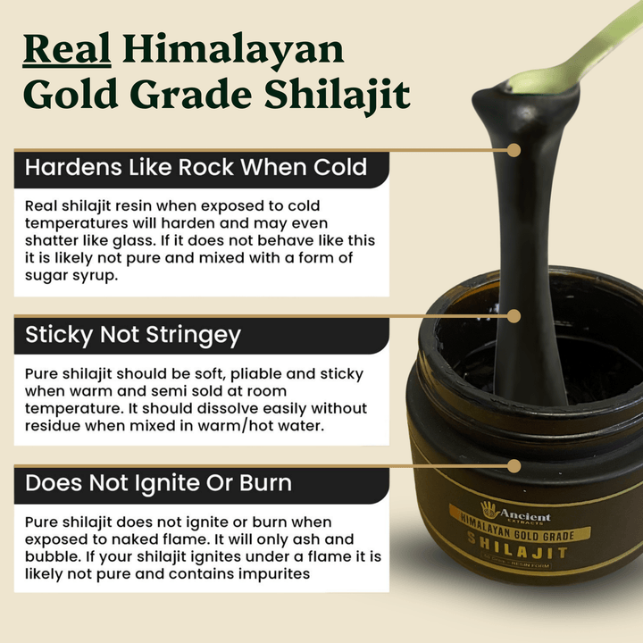 Ancient Extracts - Shilajit Resin - Himalayan Gold Grade