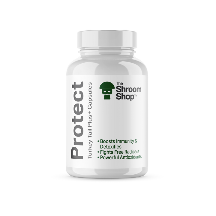 The Shroom Shop - Protect: Turkey Tail+ Capsules - BUY 1 GET 1 FREE