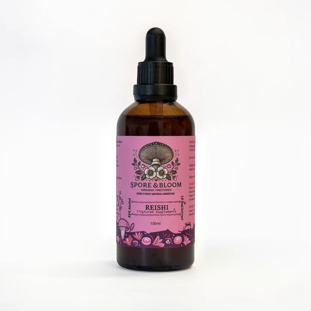 Spore & Bloom - Calm & Focus Stack – Lion’s Mane & Reishi