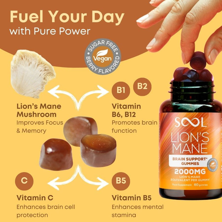 Lion's Mane Mushroom Gummies 60pcs - Berry Flavour - Brain Support
