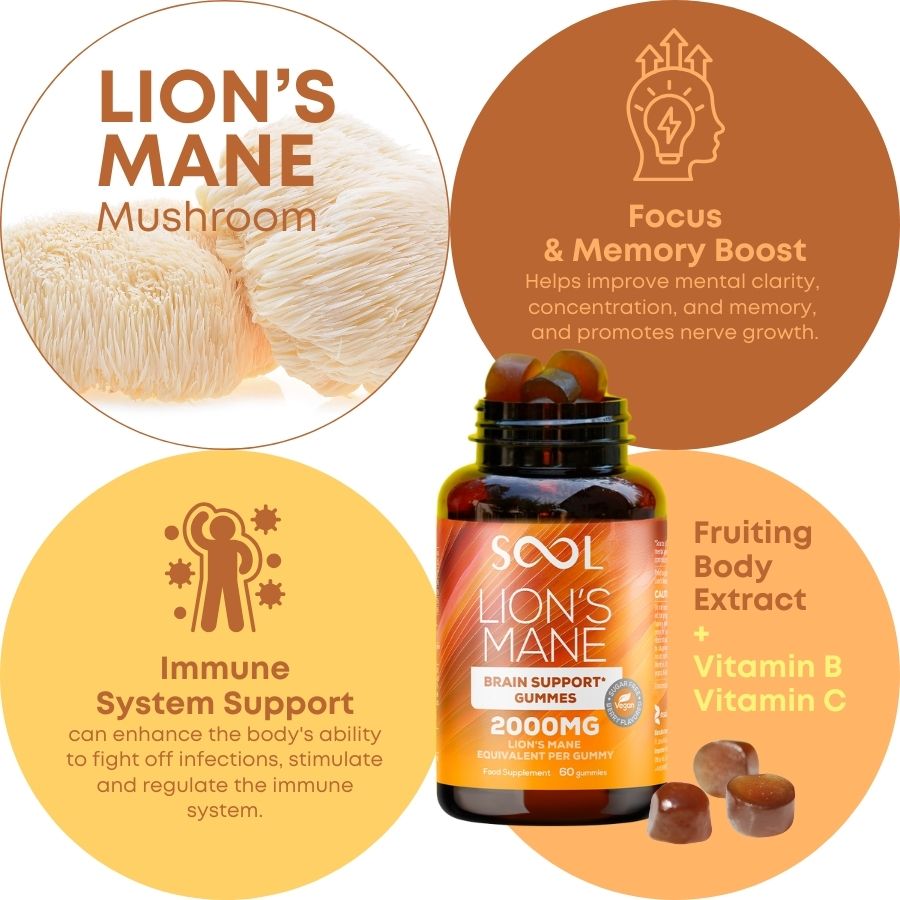 Lion's Mane Mushroom Gummies 60pcs - Berry Flavour - Brain Support