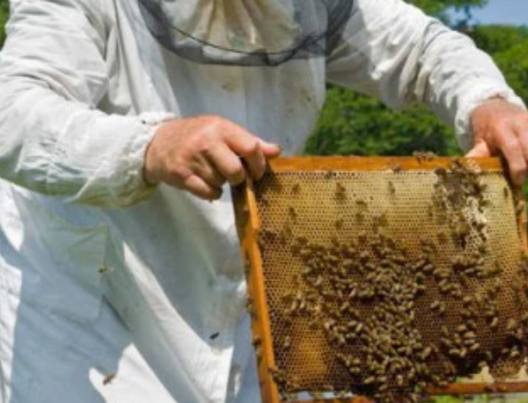 The Positive Company - Propolis and Honey Soap