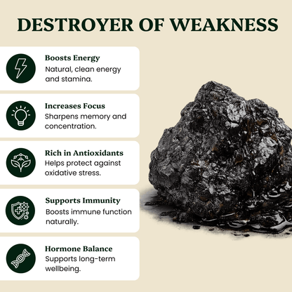 Ancient Extracts - Shilajit Resin - Himalayan Gold Grade