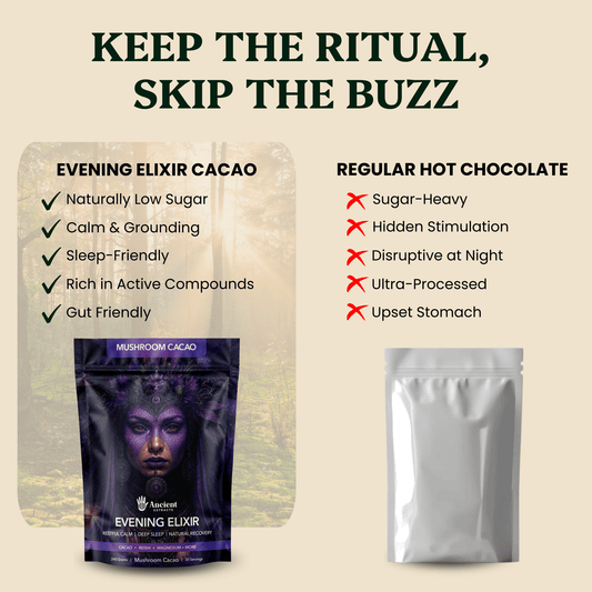 Ancient Extracts - Evening Elixir Mushroom Cacao