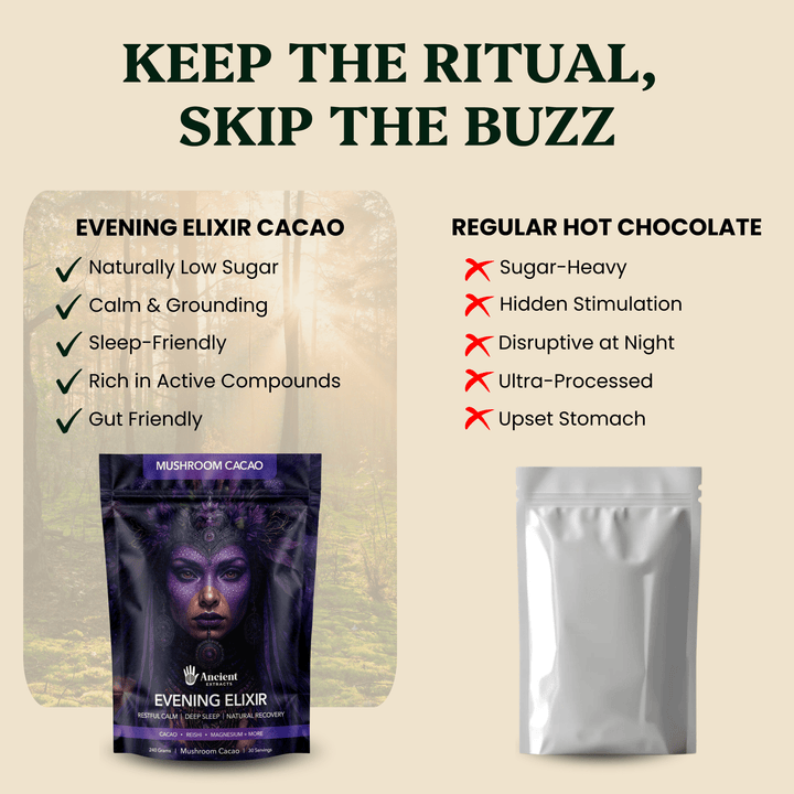 Ancient Extracts - Evening Elixir Mushroom Cacao