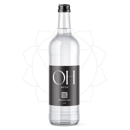 12 Bottles of 528Hz Harmonically Treated Sparkling Spring Water