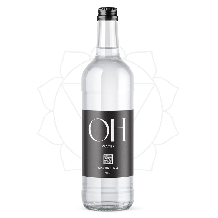 12 Bottles of 528Hz Harmonically Treated Sparkling Spring Water