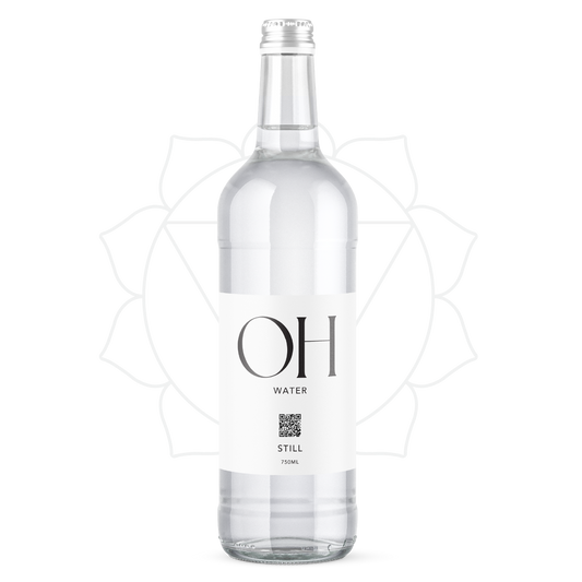 12 Bottles of 528Hz Harmonically Treated Still Spring Water
