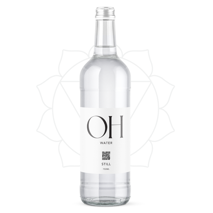 12 Bottles of 528Hz Harmonically Treated Still Spring Water
