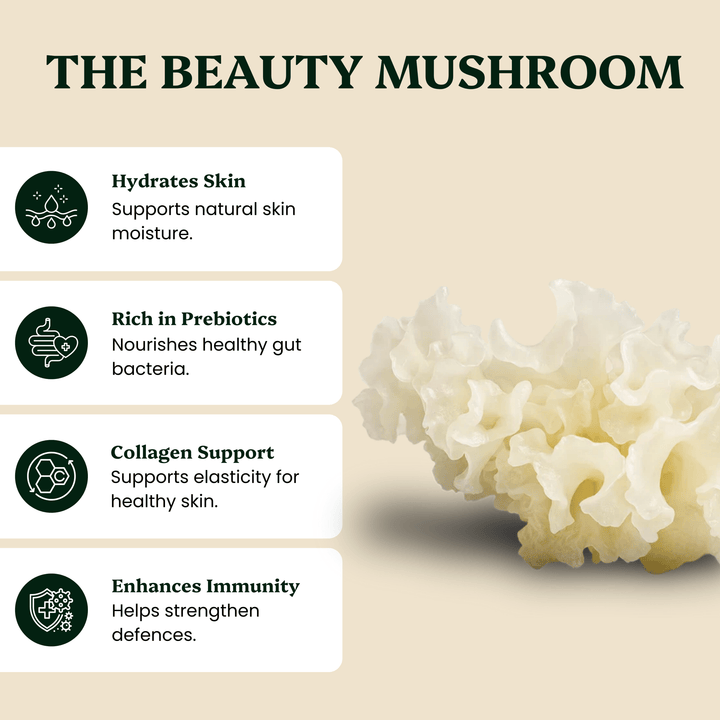 Ancient Extracts - Tremella Mushroom Extract Powder