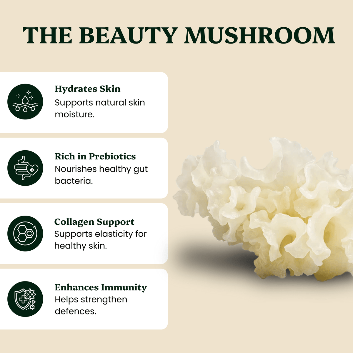 Ancient Extracts - Beauty Pair Tremella & Chaga Mushroom Extracts