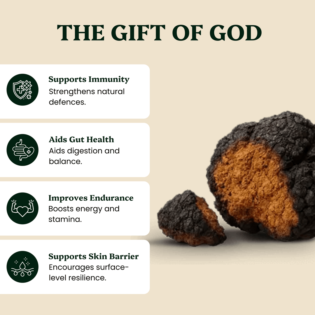 Ancient Extracts - Energy Pair Cordyceps & Chaga Extracts
