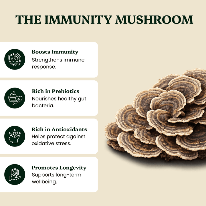 Ancient Extracts - Turkey Tail Mushroom Extract - For Pets