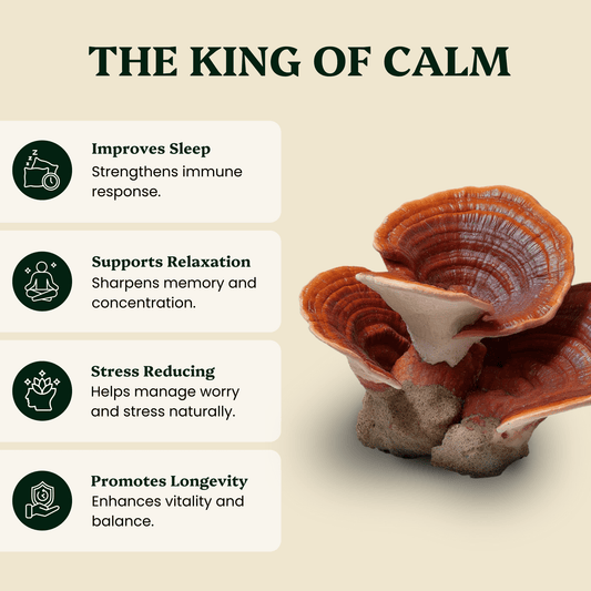 Ancient Extracts - Reishi Mushroom Extract Powder