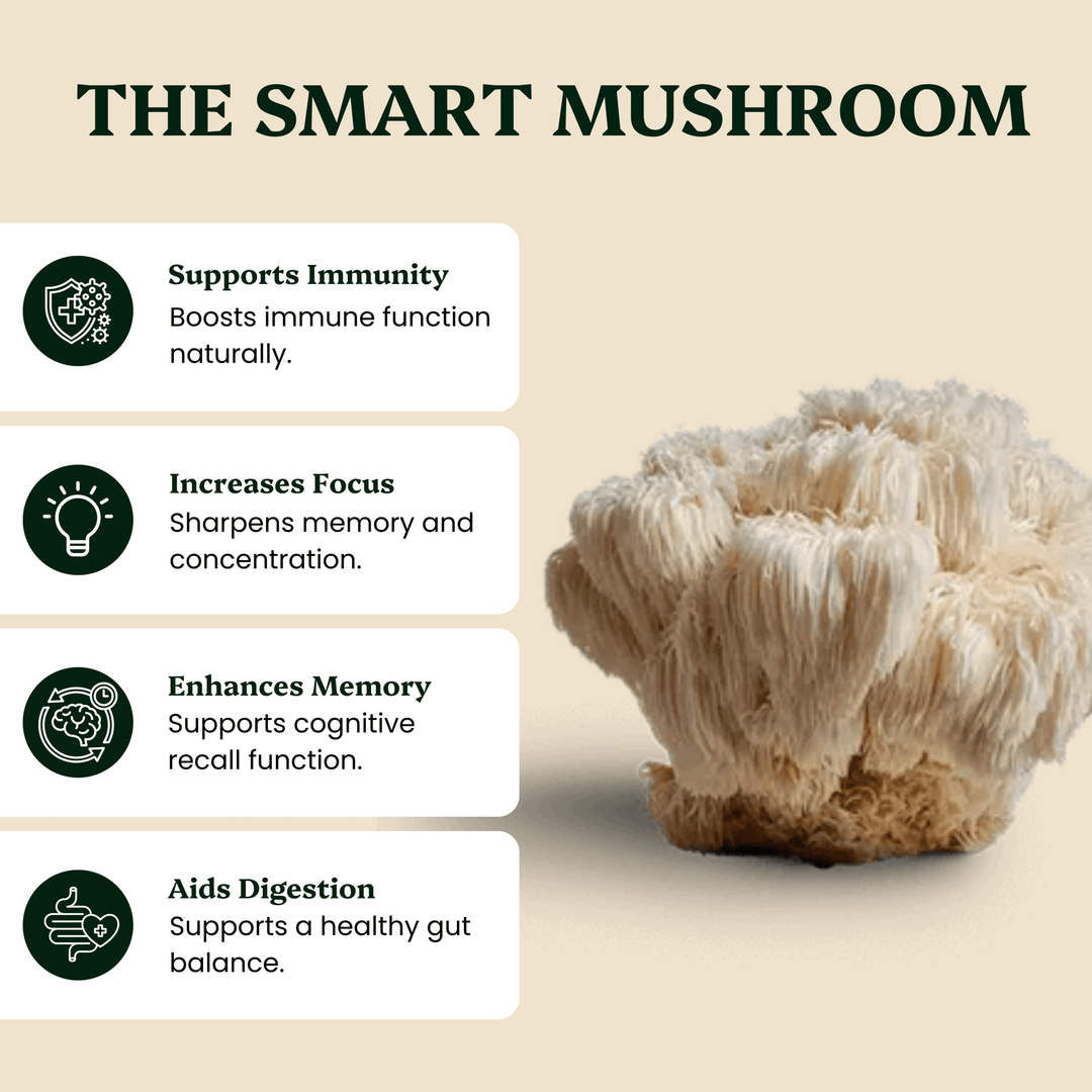 Ancient Extracts - Lion's Mane Mushroom Extract Powder