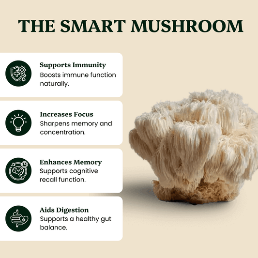 Ancient Extracts - Lion's Mane Mushroom Extract Powder
